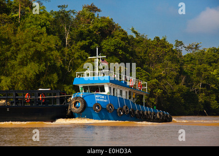 Ein Schlepper treibt ein Schiff für den transport von Autos über den Fluss in der KINABATANGAN RIVER WILDLIFE SANCTUARY - SABAH, BORNEO Stockfoto