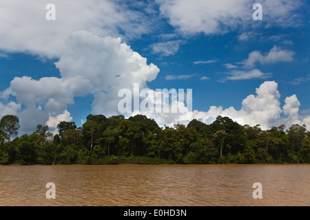 KINABATANGAN RIVER WILDLIFE SANCTUARY ist Heimat für viele Tierarten - SABAH BORNEO Stockfoto