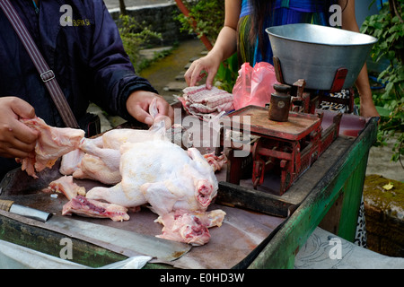 Straßenhändler Wagen mit frischen Hähnchen für den Verkauf an Dorfbewohner in Ost-Java-Indonesien Stockfoto