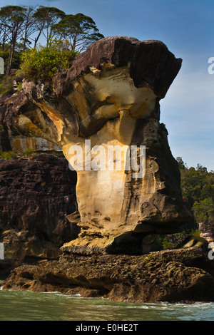 SEASTACKS entlang der Küste im BAKO Nationalpark befindet sich in SARAWAK - BORNEO, MALAYSIA Stockfoto