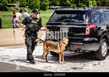 Geheimdienst-k-9 Unit, E Street NW Zugang zum Sicherheitsbereich White House, Washington, DC Stockfoto