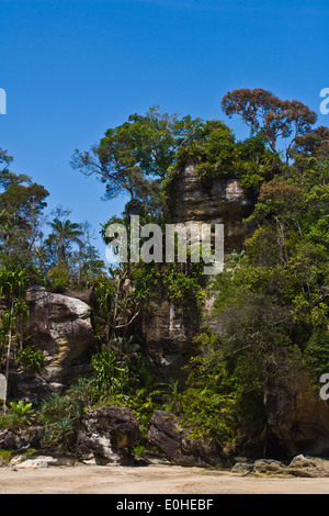Tropischen Dschungel und Strand im BAKO Nationalpark befindet sich in SARAWAK - BORNEO, Malaysia Stockfoto