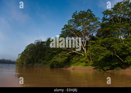 KINABATANGAN RIVER WILDLIFE SANCTUARY ist Heimat für viele Tierarten - SABAH BORNEO Stockfoto