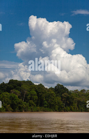 KINABATANGAN RIVER WILDLIFE SANCTUARY ist Heimat für viele Tierarten - SABAH BORNEO Stockfoto