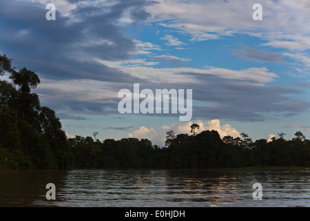 KINABATANGAN RIVER WILDLIFE SANCTUARY ist Heimat für viele Tierarten - SABAH BORNEO Stockfoto