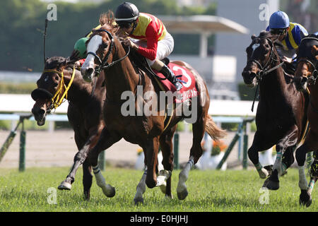 Kyoto, Japan. 10. Mai 2014. (L-R) Klänge der Erde (Suguru Hamanaka), Hagino Hybrid (Shinichiro Akiyama), Shadow Dancer (Yutaka nehmen) Pferderennen: Hagino Hybrid geritten von Shinichiro Akiyama gewinnt das Kyoto Shinbun Hai auf Kyoto-Pferderennbahn in Kyoto, Japan. © Eiichi Yamane/AFLO/Alamy Live-Nachrichten Stockfoto