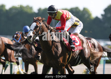 Kyoto, Japan. 10. Mai 2014. Hagino Hybrid (Shinichiro Akiyama) Pferderennen: Hagino Hybrid geritten von Shinichiro Akiyama gewinnt das Kyoto Shinbun Hai auf Kyoto-Pferderennbahn in Kyoto, Japan. © Eiichi Yamane/AFLO/Alamy Live-Nachrichten Stockfoto