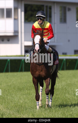 Kyoto, Japan. 10. Mai 2014. Hagino Hybrid (Shinichiro Akiyama) Pferderennen: Hagino Hybrid geritten von Shinichiro Akiyama nach dem Gewinn der Kyoto-Shinbun Hai auf Kyoto-Pferderennbahn in Kyoto, Japan. © Eiichi Yamane/AFLO/Alamy Live-Nachrichten Stockfoto