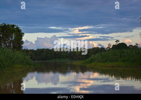 KINABATANGAN RIVER WILDLIFE SANCTUARY ist Heimat für viele Tierarten - SABAH BORNEO Stockfoto