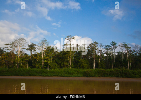 KINABATANGAN RIVER WILDLIFE SANCTUARY ist Heimat für viele Tierarten - SABAH BORNEO Stockfoto