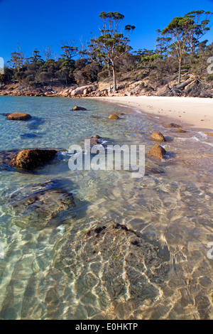 Cooks Beach im Freycinet National Park Stockfoto