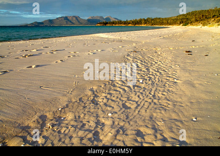 Blick von Cooks Beach Gefahren, Freycinet National Park Stockfoto