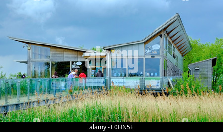 Naturschutzgebiet Attenborough, Zentrum, Nottinghamshire, Großbritannien Stockfoto