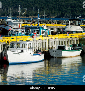 Angelboote/Fischerboote am Dock Bay Bulls Harbor, Bay Bulls, Avalon Halbinsel, Neufundland und Labrador, Kanada Stockfoto