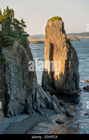 Felsformationen an der Küste Skerwink Trail, Port Rexton, Halbinsel Bonavista, Neufundland und Labrador, Kanada Stockfoto