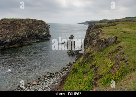 Blick auf Küste, kleine Catalina, Halbinsel Bonavista, Neufundland und Labrador, Kanada Stockfoto