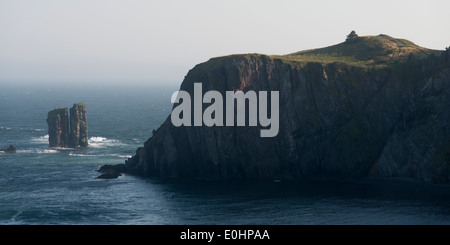 Blick auf die Steilküste, Skerwink Trail, Port Rexton, Halbinsel Bonavista, Neufundland und Labrador, Kanada Stockfoto