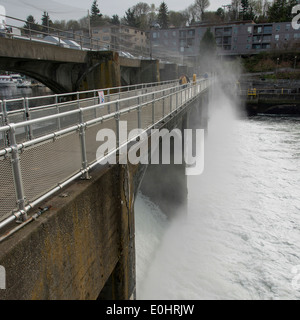 Hiram M. Chittenden Locks und Carl S. Englisch Jr. Botanischer Garten, Lake Washington Ship Canal, Seattle, Washington State, USA Stockfoto