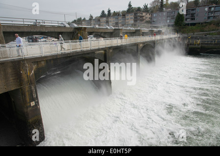 Hiram M. Chittenden Locks und Carl S. Englisch Jr. Botanischer Garten, Lake Washington Ship Canal, Seattle, Washington State, USA Stockfoto