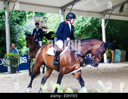 Britische Olympische Reitsport Nick Skelton Ausübung sein Pferd Big Star bei der Ausübung Schuppen auf der Rom-Springreiten-Veranstaltung 2013. Stockfoto