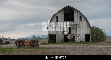Scheune in ein Feld, Mount Vernon, Skagit County, Bundesstaat Washington, USA Stockfoto