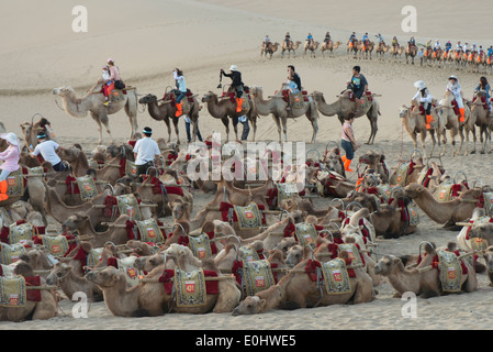 Kamele mit Touristen auf berühmte Shan, Dunhuang, Jiuquan, Provinz Gansu, China Stockfoto