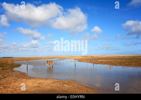 Ein Blick auf die Folgen der Flutwelle vom Dezember 2013 auf die Beweidung Sümpfe bei Salthouse, Norfolk, England, UK. Stockfoto