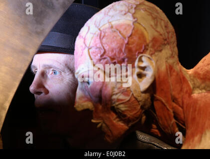 Hamburg, Deutschland. 14. Mai 2014. Deutscher Anatom Gunther von Hagens stellt eines seiner plastinierter menschlicher Exponate während einer Vorschau seiner Ausstellung "Körperwelten - eine Herzenssache" in Hamburg, Deutschland, 14. Mai 2014. Die Ausstellung läuft vom 16. Mai bis 15. Oktober 2014. Foto: AXEL HEIMKEN/Dpa/Alamy Live News Stockfoto