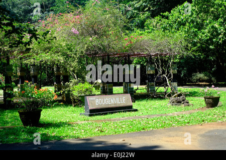 Pagode in Blumen in der Purwodadi botanischen Gärten in der Nähe von Malang Ost Java Indonesien bedeckt Stockfoto