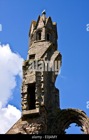 West End Wand Turm aus dem 12. Jahrhundert St. Andrews Cathedral in Fife, Schottland Stockfoto