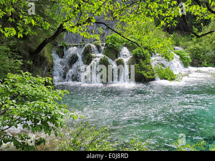 Plitvicer Seen, Wasserfälle, Kroatien Stockfoto