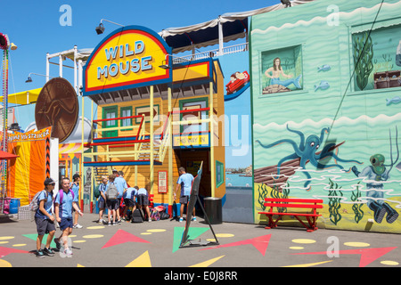 Sydney Australien, Milsons Point, Luna Park, Unterhaltung, Wild Mouse, AU140310092 Stockfoto