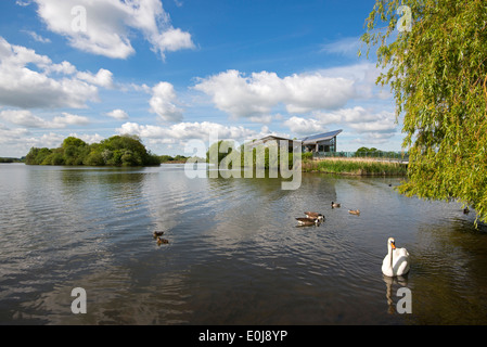 Attenborough Nature Reserve und Besucherzentrum, Nottinghamshire, England UK Stockfoto