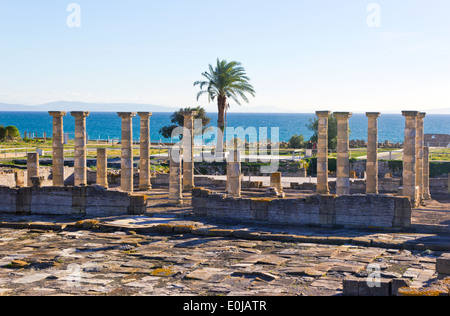 Die Ruinen von Baelo Claudia, Bolonia, Provinz Cádiz, Costa De La Luz, Andalusien, Spanien. Stockfoto