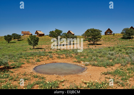 Außenansicht des Rooiputs Lodge, Kgalagadi Transfrontier Park, Kalahari, Südafrika, Botswana, Afrika Stockfoto