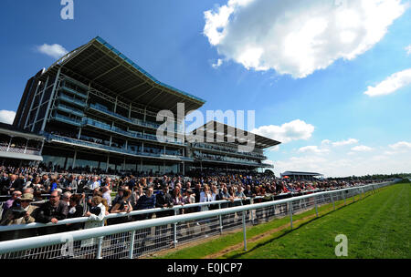 YORK RACECOURSE DANTE FESTIVAL 2014 YORK RACECOURSE YORK ENGLAND 14 Mai 2014 Stockfoto