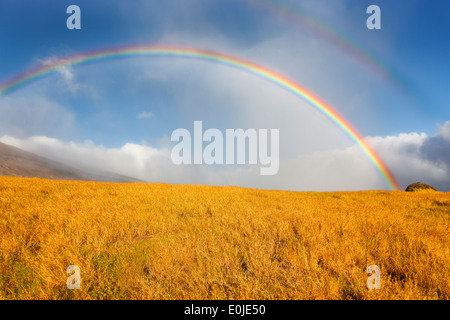 Hawaii doppelte Regenbogen über goldenen Feld Maui, Hawaii Stockfoto