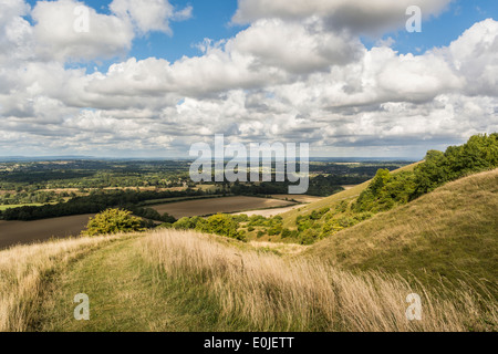 Blick auf die Sussex Weald von Rackham Hügel in den South Downs National Park in West Sussex. Stockfoto