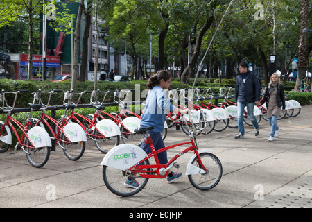 Frau, die ein Fahrrad von Ecobici entlang der Paseo De La Reforma am autofreien Sonntag Stockfoto