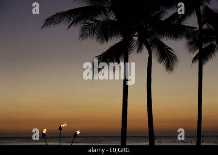 Drei Palmen und drei Tiki Fackeln bei Sonnenuntergang Strand von Waikiki, Oahu, Hawaii Stockfoto