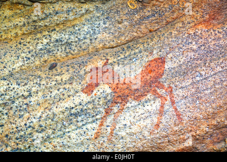 Alten Felszeichnungen der San, Ureinwohner Suedafrikas Sevilla Rock Art Trail, Cederberge Nahe Clanwilliam Und Wuppertal, Wester Stockfoto