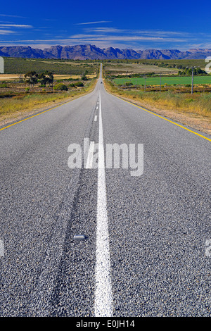 Straße R364 Zwischen Lamberts Bay Und Clanwilliam, Im Hintergrund die Cederberge, West Kap, Western Cape, Suedafrika, Afrika Stockfoto