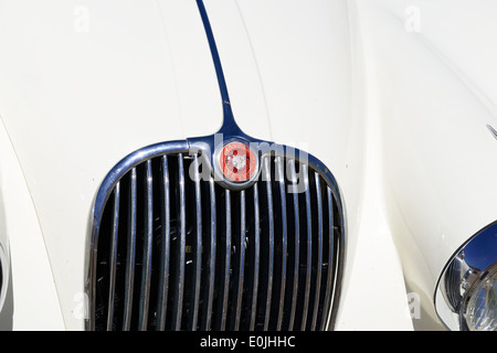 Grill von einem klassischen Jaguar Stockfoto