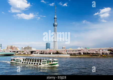 Tokyo Skytree Tower und Sumida-Fluss Stockfoto