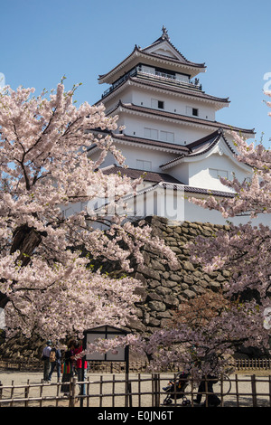 Tsurugajo Burg und Kirsche Bäume, Fukushima, Japan Stockfoto