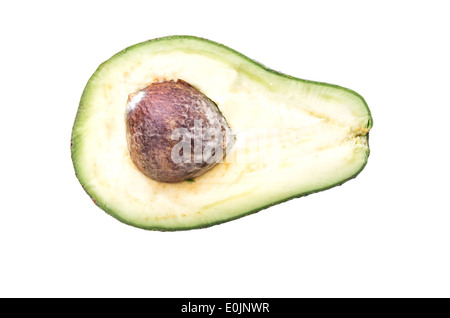 Avocatto auf weißem Hintergrund Stockfoto