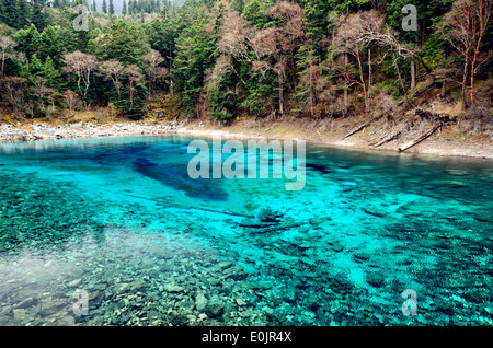 Bunten Pool in Jiuzhaigou Nationalpark, Sichuan China Stockfoto