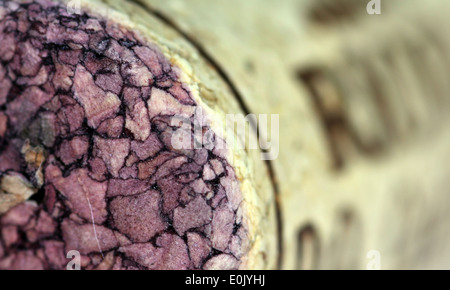 Rioja-Wein gebeizt Kork Stockfoto