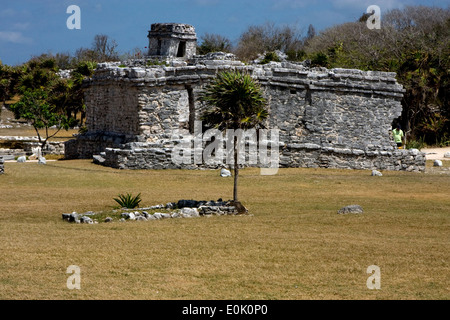 eine wilde Winkel des Tempels Tulum in Mexiko Amerika Stockfoto