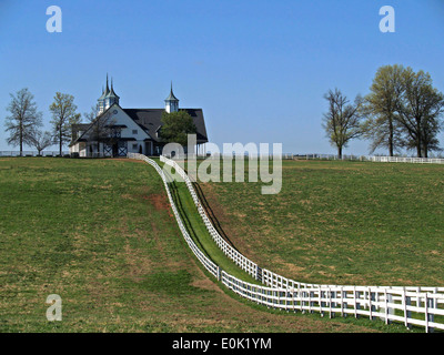 Weißes Brett Zäune führen in ein cupolaed Pferdestall, Lexington, Kentucky Stockfoto